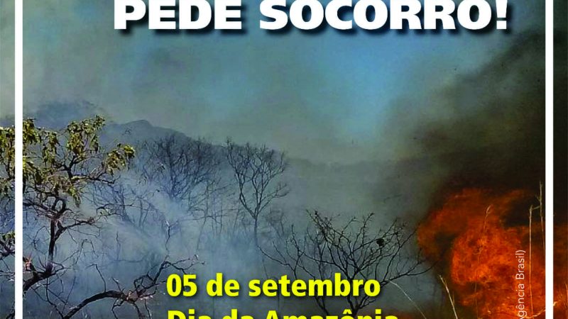 Dia da Amazônia chega em meio à alta de queimadas e desmatamento.